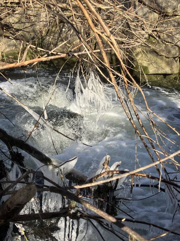 Kunstwerke der Natur an der Fischtreppe