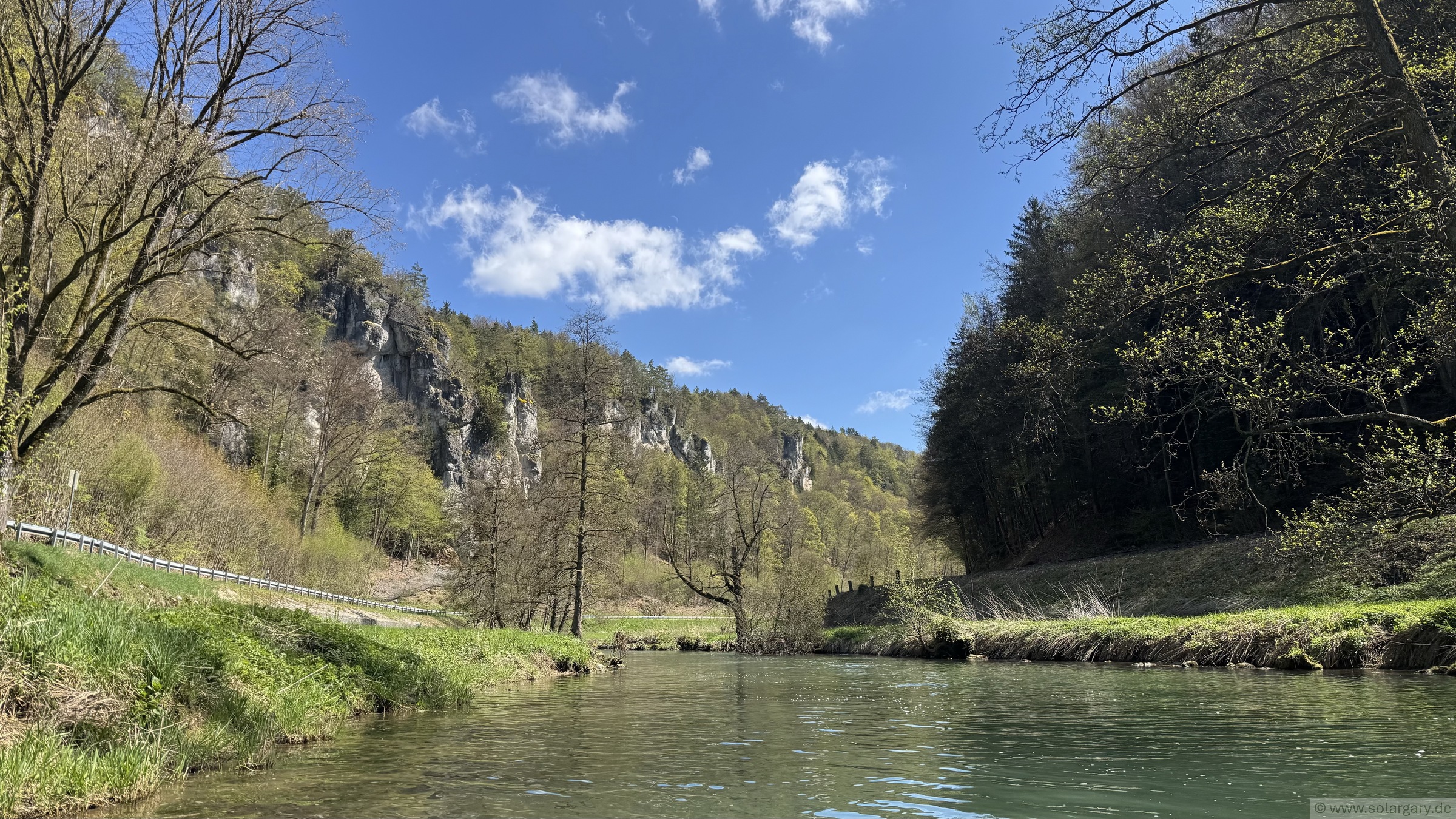 Kalkfelsen an der Wiesent